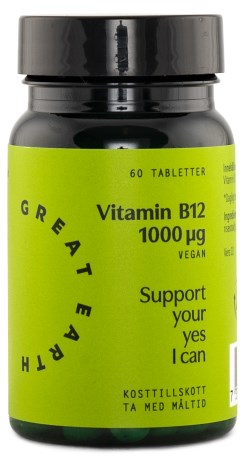 Great Earth Vitamin B12 1000 mcg Vegan - Great Earth