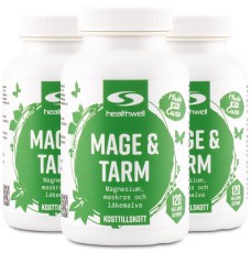 Miniatyrbild Healthwell Mage & Tarm Kapslar, 360 kaps