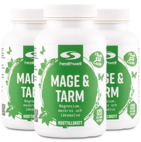 Miniatyrbild Healthwell Mage & Tarm Kapslar, 360 kaps