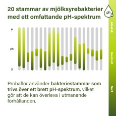 Miniatyr extrabild 3