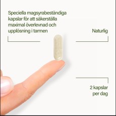 Miniatyr extrabild 4