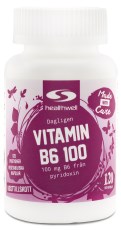Vitamin B6 100
