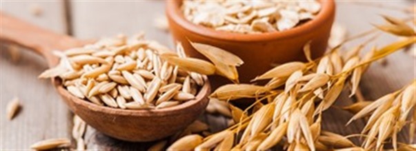 Vad r havreprotein?
