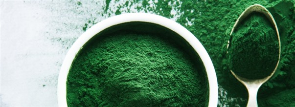 Drfr pratar alla om spirulina
