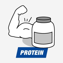 Protein