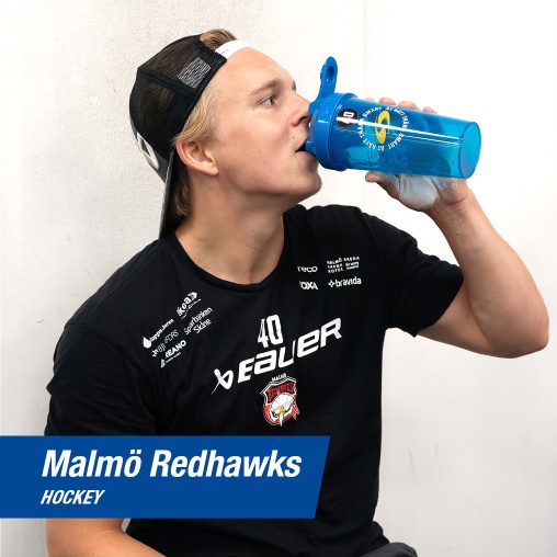 Malm� Redhawks